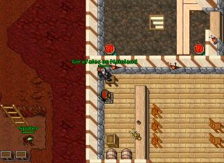 Girafales on Mainland · Tibia 8.54
