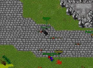 pugge 14594