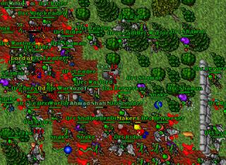 orcattack