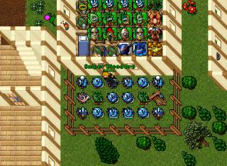 House 9933
