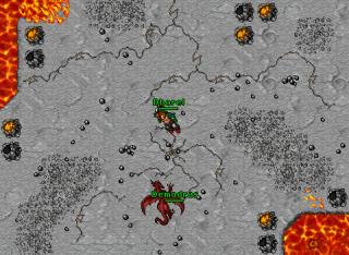 Dharel · Tibia 8.50