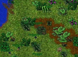 WizavPowerabused 26169