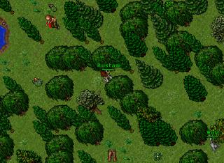 Rustam · Tibia 8.41