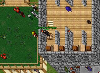 rom-action 14683