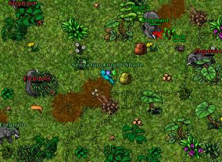 obatiridia-