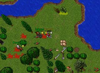 50 lvl idiot 13620