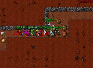 bohnowteam