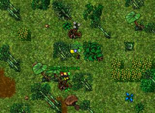 Jungle-Idman