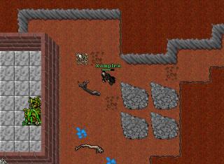 Hunting some on secura