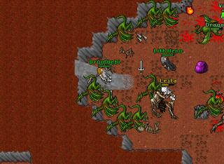 Druid Bebi · 8 Jul 2005