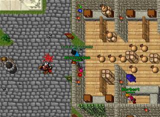 quaras invasion