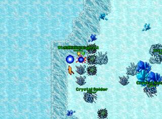 Sharpnel · Tibia 8.40
