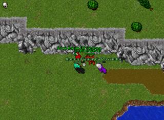 rick pking2