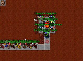 sneakbrap 43225 29300