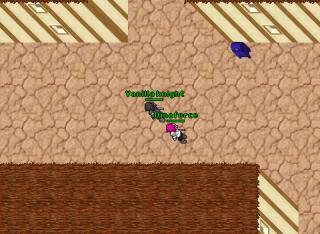 Vanilla knight · Tibia 7.72