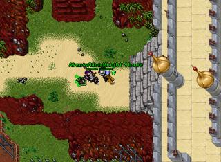 Sensation Knight'Shade · Tibia 8.40