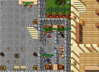 80 sorcerer Lucera Loot