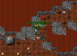 Botter 11405