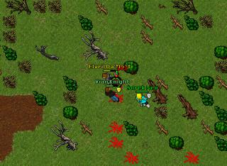 elv gonna pk 4