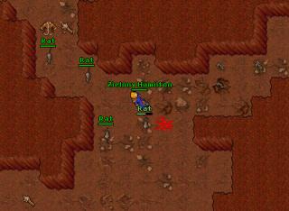 Zielony Hamilton · Tibia 7.60