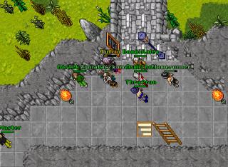 Zgniatacz komarow · Tibia 8.50
