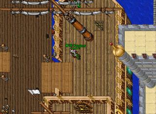 Will Yogus · Tibia 8.41