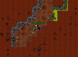 Shabii frags Leg 32143