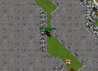 fort war2 11964