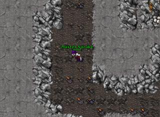 TIBIA FOR FUN