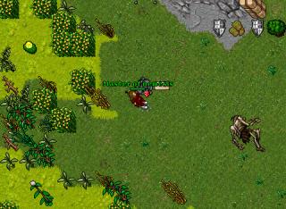 KILL Noob.