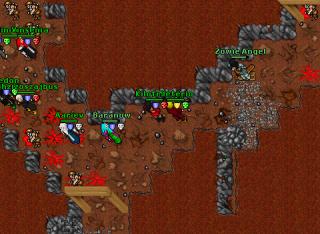 102rp nova