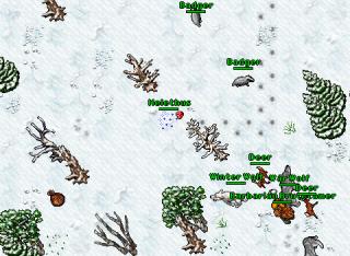 [Furora] 200 EK botting with Exura