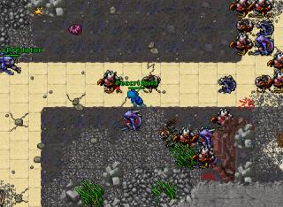 Few Golems and Quaras