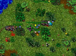 hydrahunt (2)