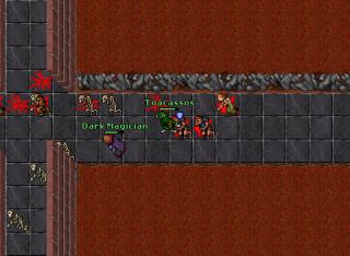Toacassos · Tibia 8.41