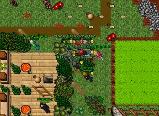 20 elder chim