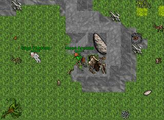 venore lair