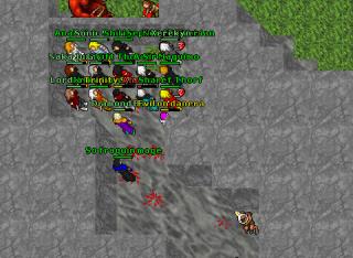 Orsh on danera