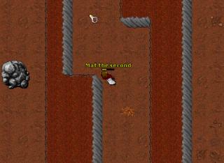 lvl57 macroing near mint