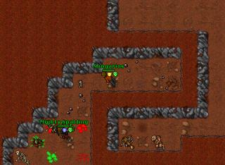 sang bsquest 7.92
