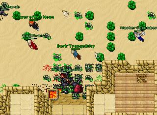Raids in ankh