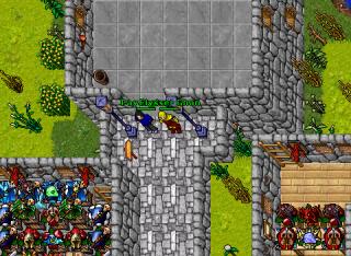 Elysser Ghan · Tibia 8.11