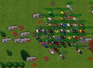 Imargam 14907