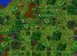 Ankrahmun Sneak+ OB