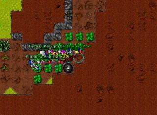 Nathaniel Poe · Tibia 8.30