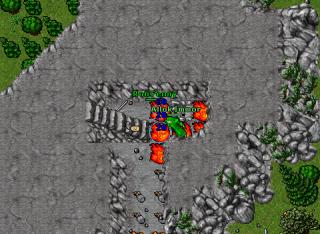 Ron Fenny · Tibia 8.20