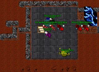 Zuenie · Tibia 8.41
