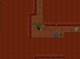 Dina pk