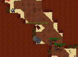 llk turtles