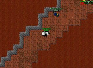 rat invasion